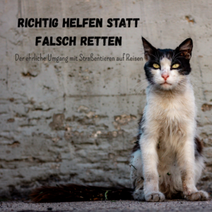 Richtig helfen statt falsch retten
